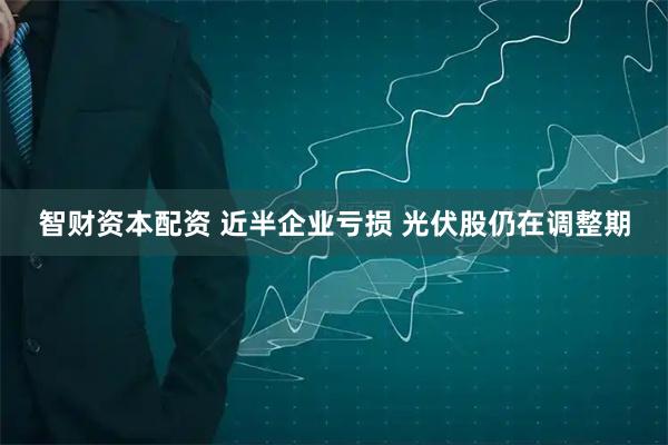 智财资本配资 近半企业亏损 光伏股仍在调整期