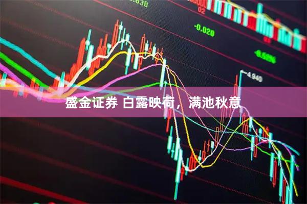 盛金证券 白露映荷，满池秋意