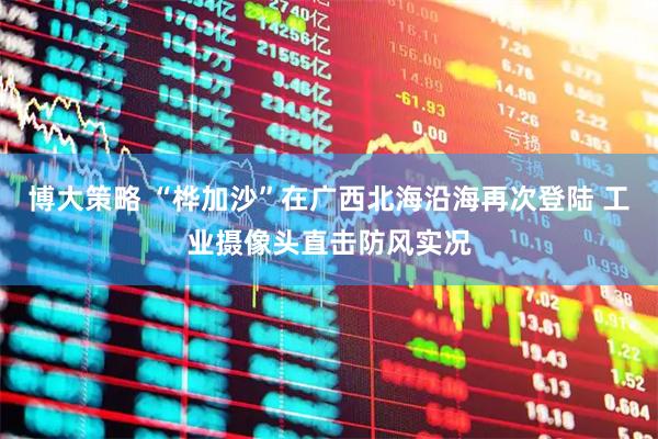 博大策略 “桦加沙”在广西北海沿海再次登陆 工业摄像头直击防风实况