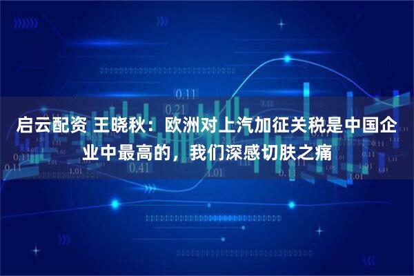 启云配资 王晓秋：欧洲对上汽加征关税是中国企业中最高的，我们深感切肤之痛
