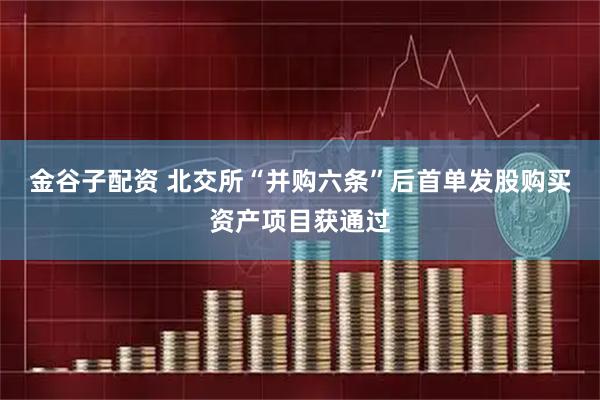 金谷子配资 北交所“并购六条”后首单发股购买资产项目获通过