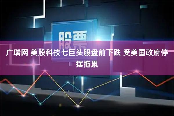 广瑞网 美股科技七巨头股盘前下跌 受美国政府停摆拖累
