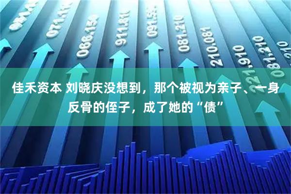 佳禾资本 刘晓庆没想到,那个被视为亲子、一身反骨的侄子,成了她的“债”